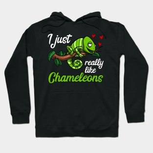 I Just Really Like Chameleons Cute Lizard Hoodie